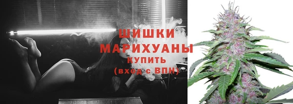 соль курить ск Белокуриха