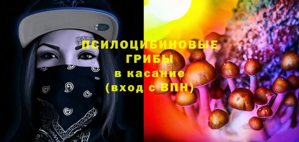 дживик Балахна